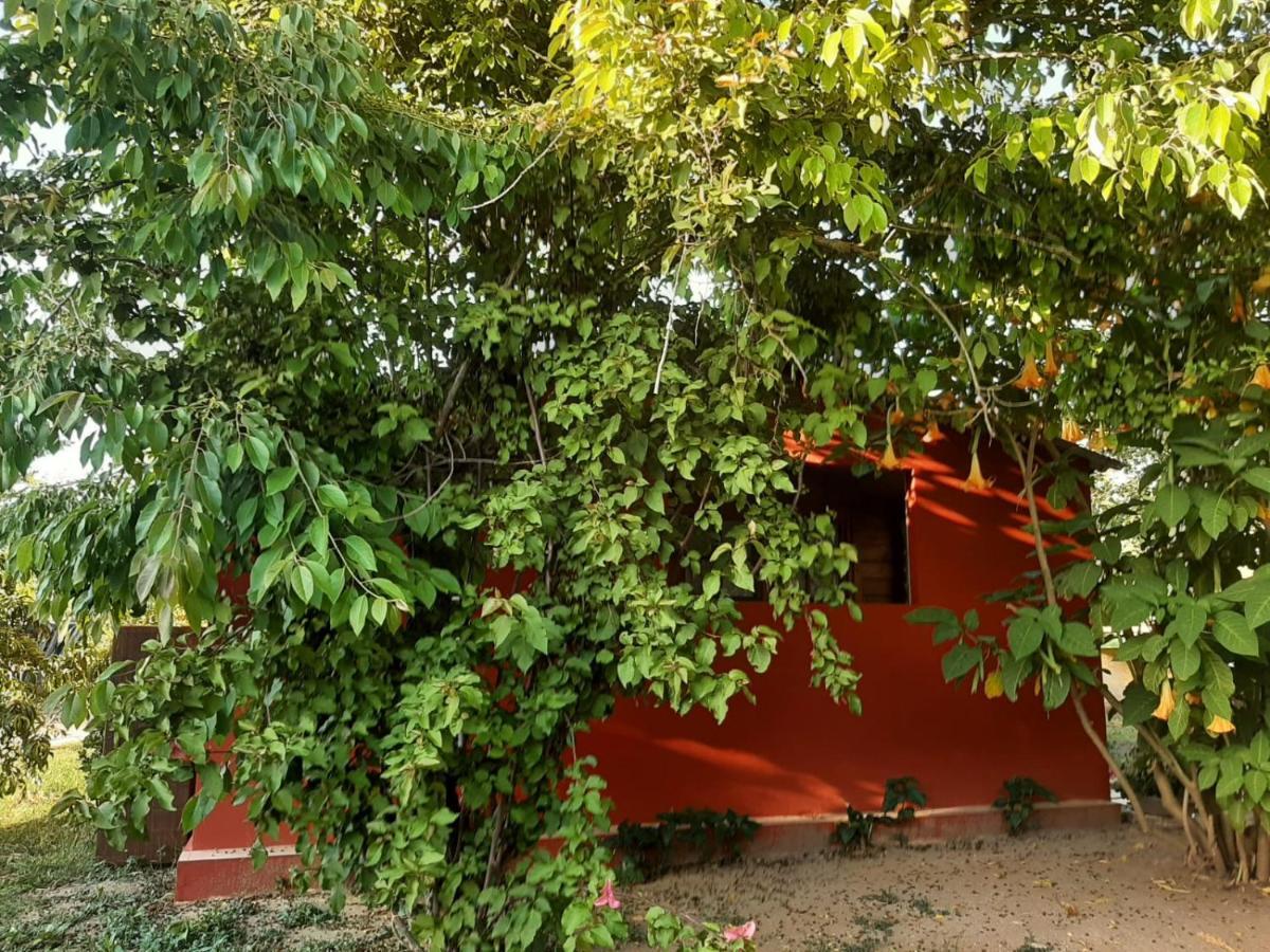 Casa Di Campagna Dal Pozzo Sorso Zewnętrze zdjęcie
