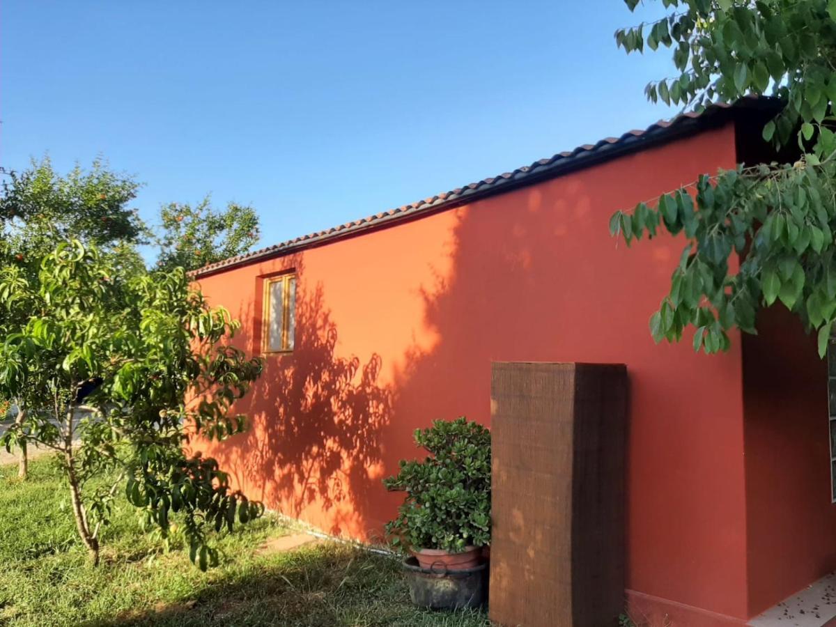 Casa Di Campagna Dal Pozzo Sorso Zewnętrze zdjęcie
