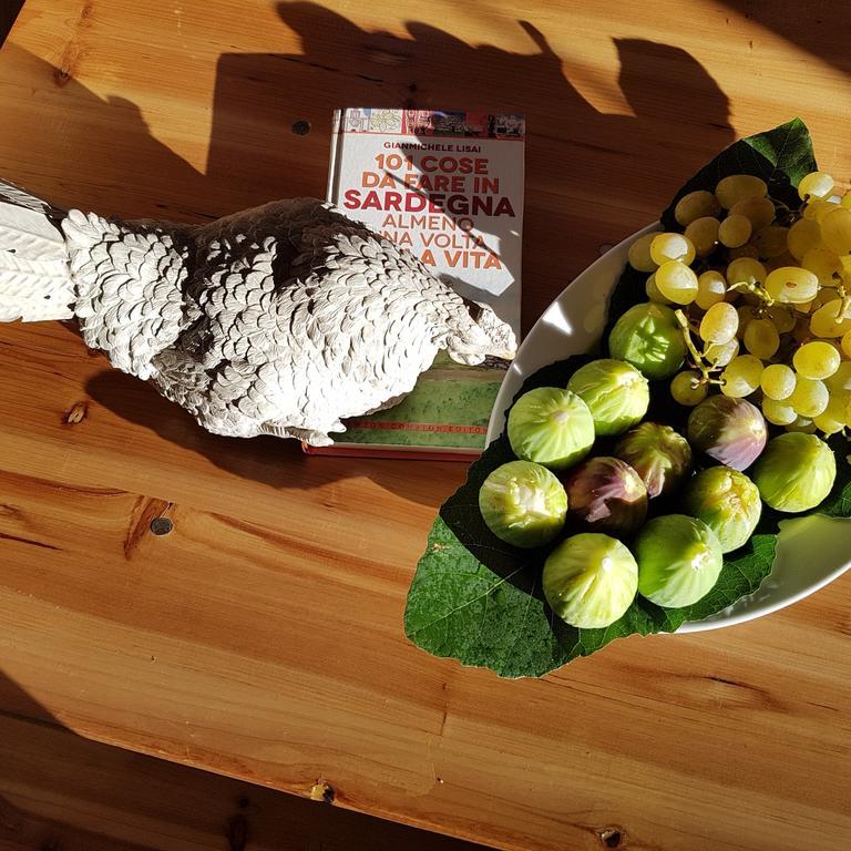 Casa Di Campagna Dal Pozzo Sorso Zewnętrze zdjęcie