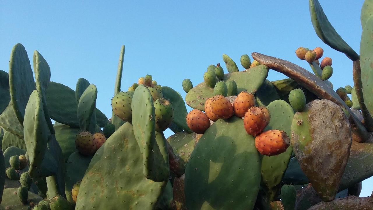 Casa Di Campagna Dal Pozzo Sorso Zewnętrze zdjęcie