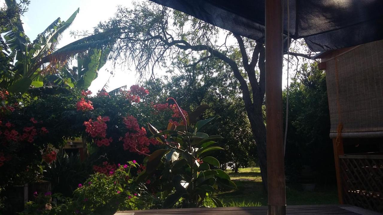 Casa Di Campagna Dal Pozzo Sorso Zewnętrze zdjęcie