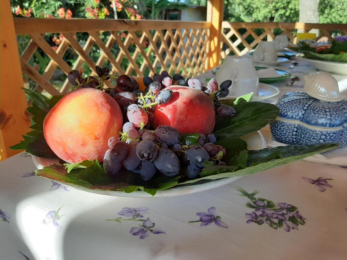 Casa Di Campagna Dal Pozzo Sorso Zewnętrze zdjęcie